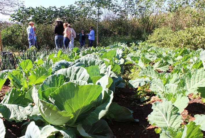 Pesquisa Propõe Indicadores Ambientais para Agricultura Sustentável em Goiás