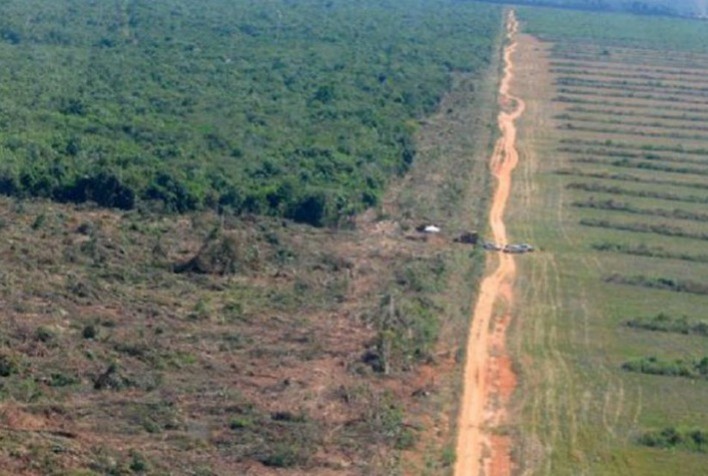 Pará Alcança Redução de 21% no Desmatamento, Menor Área Desmatada desde 2019