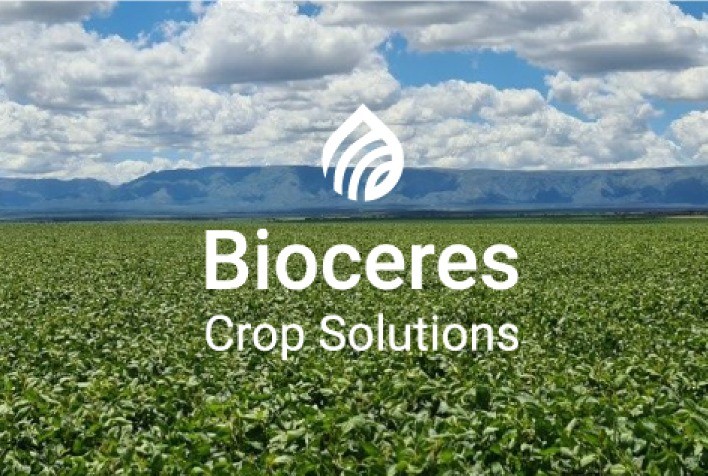 Avanço Tecnológico na Agricultura: Argentina Vende Mundialmente Sementes de Trigo Transgênico