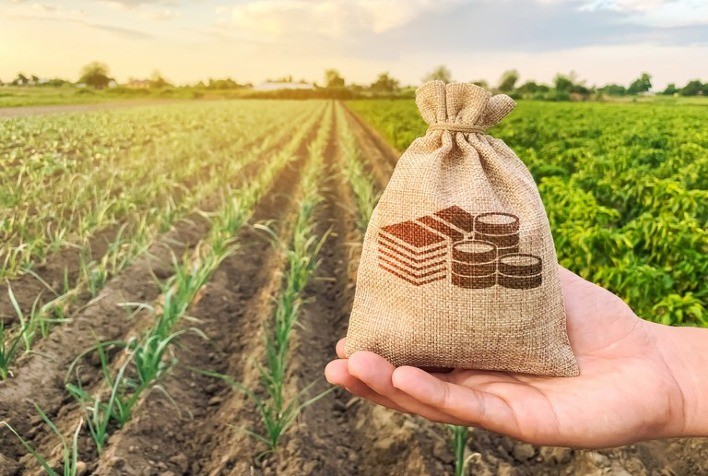 Crédito Rural na Safra 2023/24: Investimentos superam R$ 347 bilhões até abril