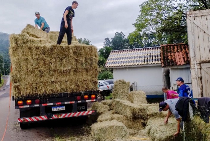 Rebanho Bovino Gaúcho em Risco: FAESC Lança Campanha para Evitar Morte por Desnutrição