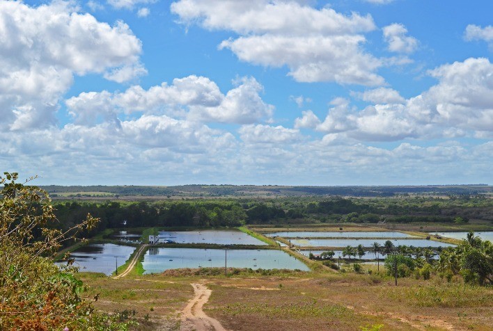Embrapa Testará Tecnologia Avançada para Mapeamento da Aquicultura no Brasil