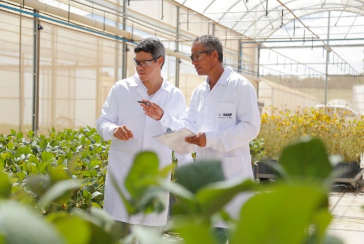 BASF Revoluciona Agricultura com Nova Linha de Bioadjuvantes