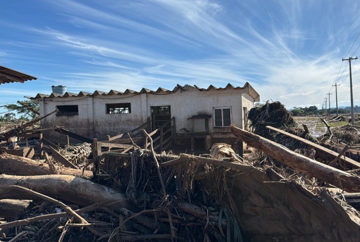 Enchentes no Rio Grande do Sul agravam situação do produtor de leite gaúcho