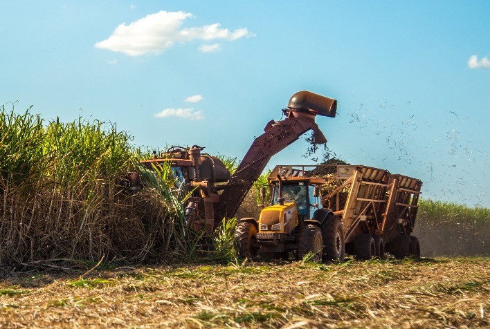 Produção de Açúcar no Brasil Aumenta 6,3% em Relação ao Ano Anterior, Impactando Contratos Futuros de Açúcar