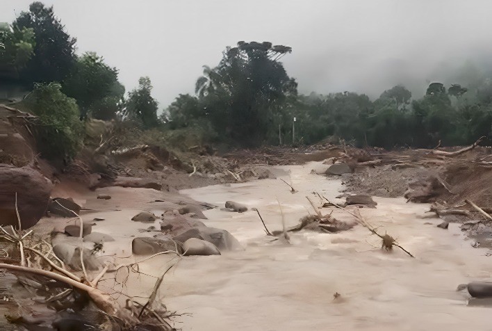 Pecanicultores contabilizam perdas nos pomares e na indústria