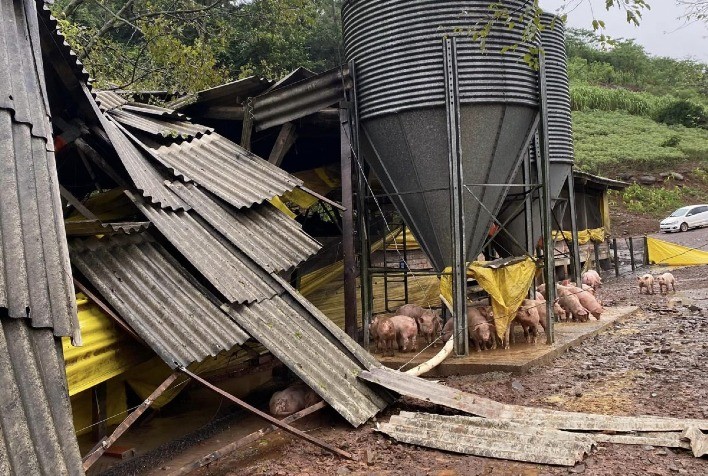 Solidariedade em Ação: Sistema CNA/SENAR Auxilia na Reconstrução do Agro no Rio Grande do Sul