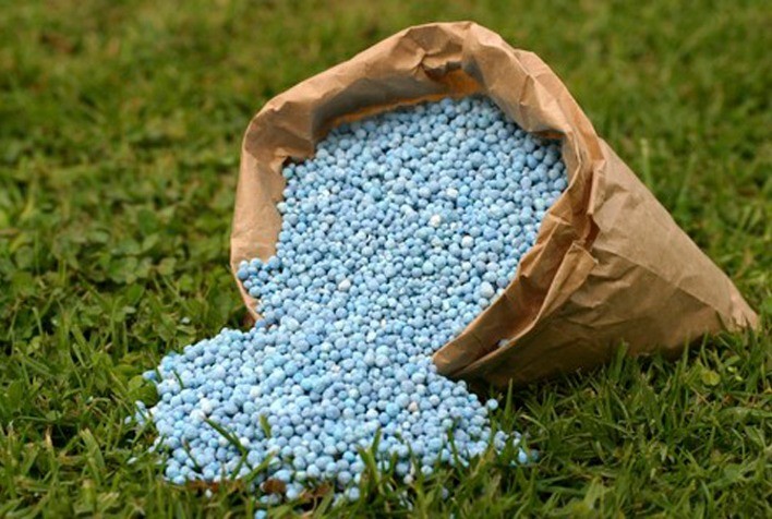 Desafios Persistem: Custos de Fertilizantes Ainda 53% Mais Elevados que Pré-Pandemia