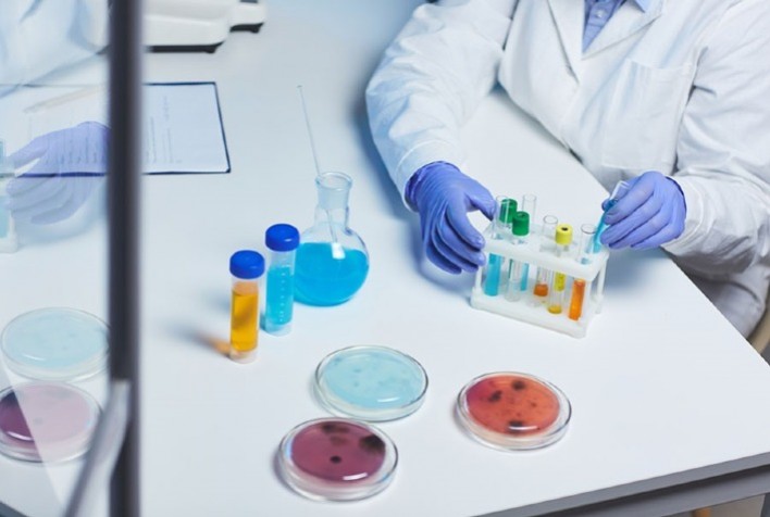 Uso de Consórcios Microbianos: Avanço na Agricultura Sustentável