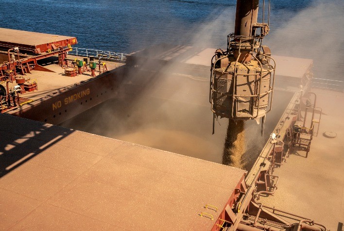 Soja Lidera Exportações Brasileiras: Conheça os Principais Produtos