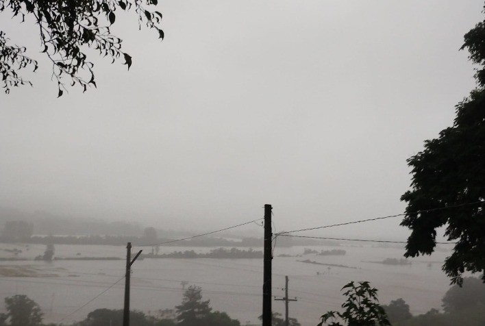 Produtores de Soja Avaliam Prejuízos após Período de Chuvas Intensas em Santa Maria (RS)