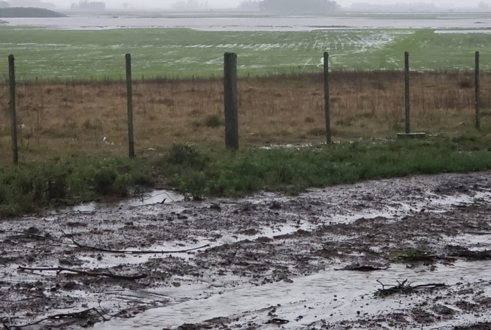 Produtores atingidos por enchentes são orientados a ter atenção aos contratos de crédito e seguro