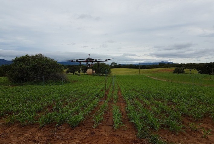Governo de Minas realiza eventos de inovação tecnológica para o agro