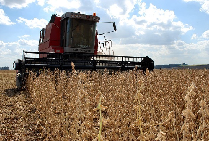 Emater: Avanço da Colheita de Soja no Rio Grande do Sul para 94% da Área Estimada