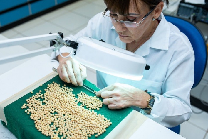 Curso de Vigor em Sementes de Soja Reforça Controle de Qualidade