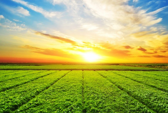 Agrotoken Revoluciona o Mercado Agrícola com Barter Digital