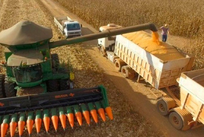 Colheita da Safrinha 2024: Mato Grosso e Paraná Lideram, Alcançando 4,7% no Centro-Sul