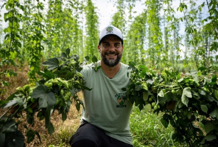 Dia da Cerveja: São Paulo Planeja Expansão da Produção de Lúpulo, Ingrediente Principal da Bebida