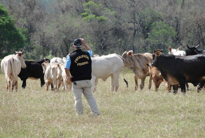 Governo Regulamenta Inspeção e Fiscalização de Produtos para Alimentação Animal