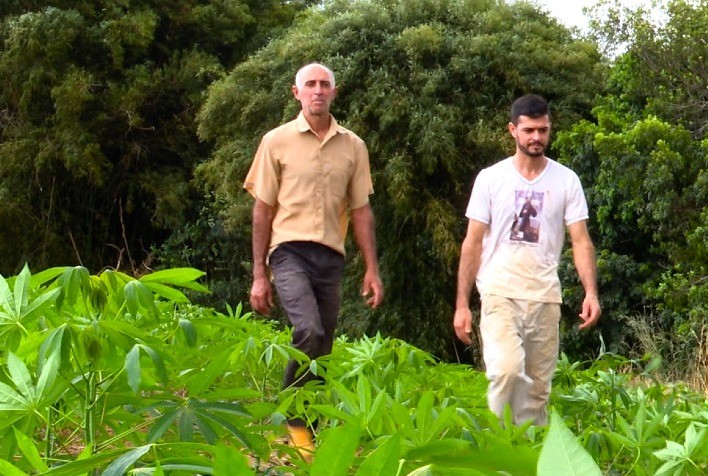 Agroindústria de mandioca é alternativa de renda para produtores de leite de Coromandel