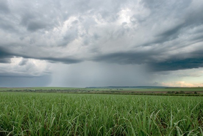Incertezas climáticas no Brasil e na Tailândia elevam preços do açúcar