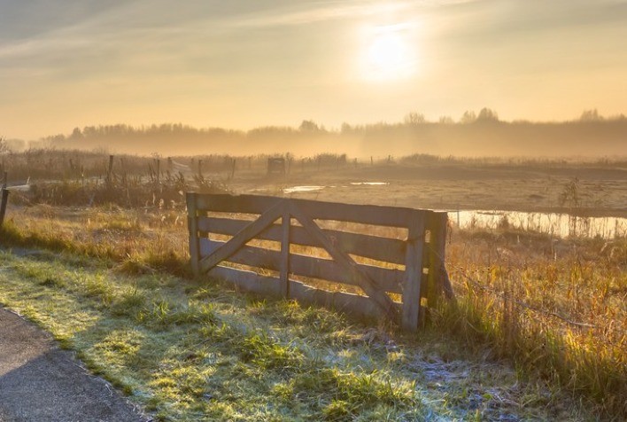 Faesc orienta sindicatos rurais a verificarem valor da terra nua para evitar aumento do ITR