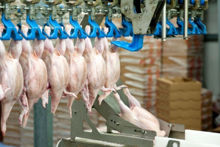 Carne de frango in natura: pelos embarques médios diários, exportações de 2024 registram novo recorde