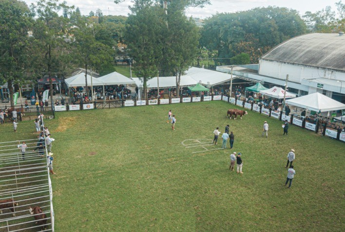 Nacional Hereford e Braford: Evento Repleto de Atrações
