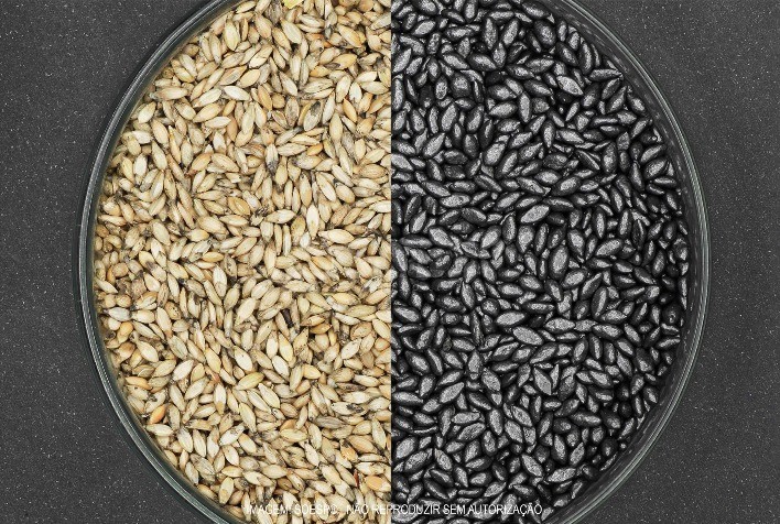 Tratamento de Sementes Forrageiras: Chave para Aumentar a Produtividade e Lucratividade da Pastagem