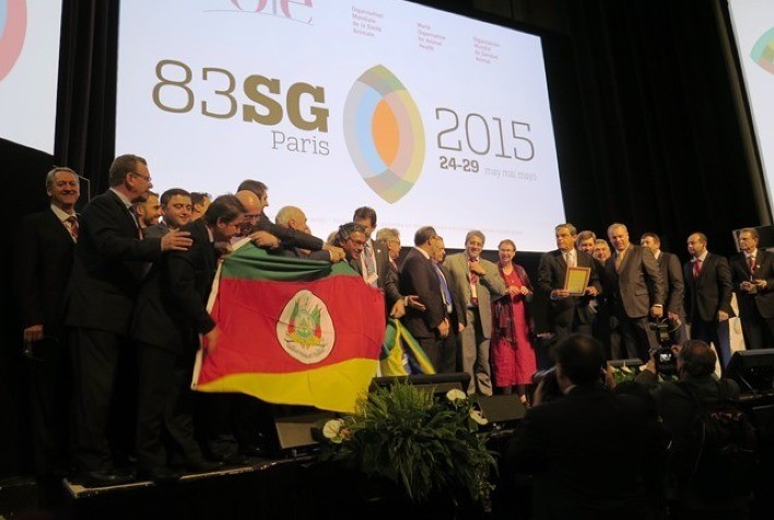 Rio Grande do Sul Celebra Nove Anos de Reconhecimento Internacional