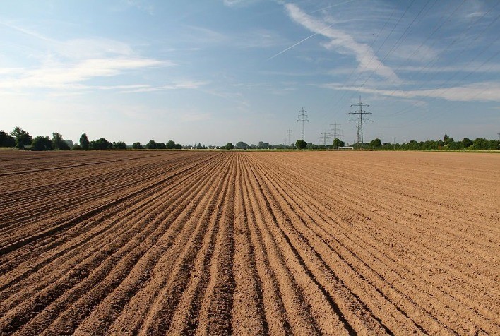 Vazio sanitário da soja começa neste sábado em Mato Grosso