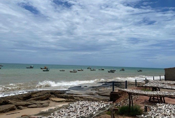 Produção mundial de pesca e aquicultura atinge novo recorde, afirma FAO