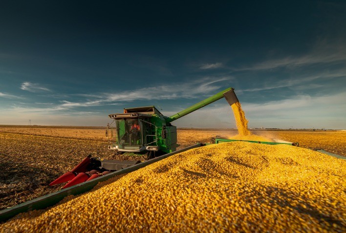 Colheita da safrinha de milho aumenta para 7,5% no Brasil, revela Conab