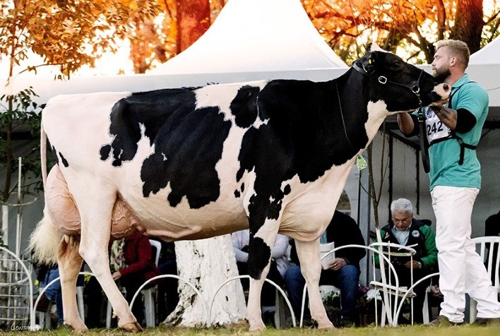 Capal Celebra 50ª Edição da Expoleite com Programação Especial