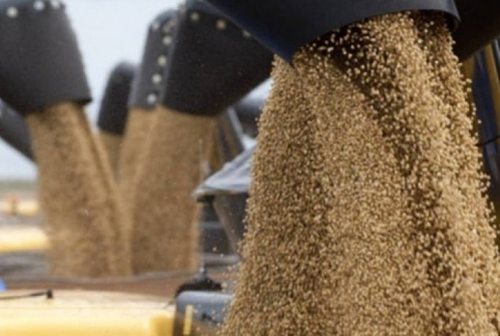 Mercado Brasileiro de Soja Monitora Movimentação Intensa nos EUA
