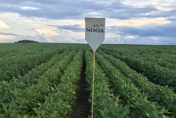 Embrapa Destaca Inovação que Aumenta Resiliência da Agricultura