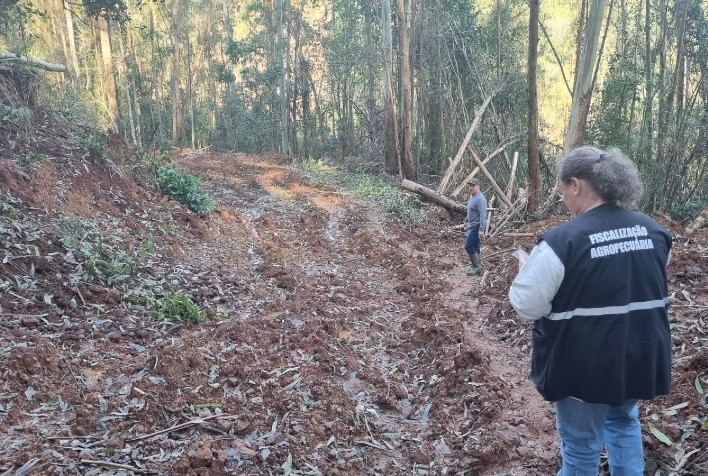 Servidores da Agricultura Mapeiam Prejuízos Após Catástrofe Ambiental no RS