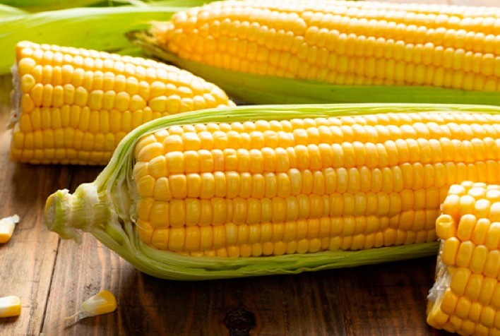 Dólar Forte Impacta Preços do Milho em Chicago e na B3