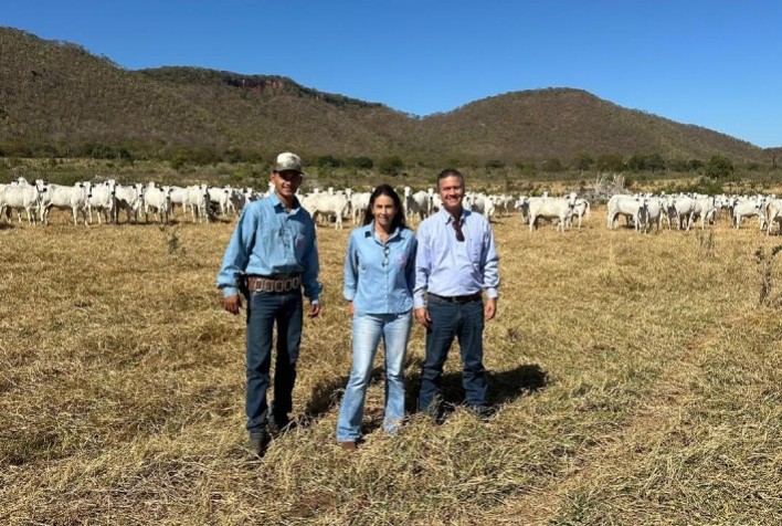 PMGZ Impulsiona Melhoramento Genético no Mato Grosso do Sul
