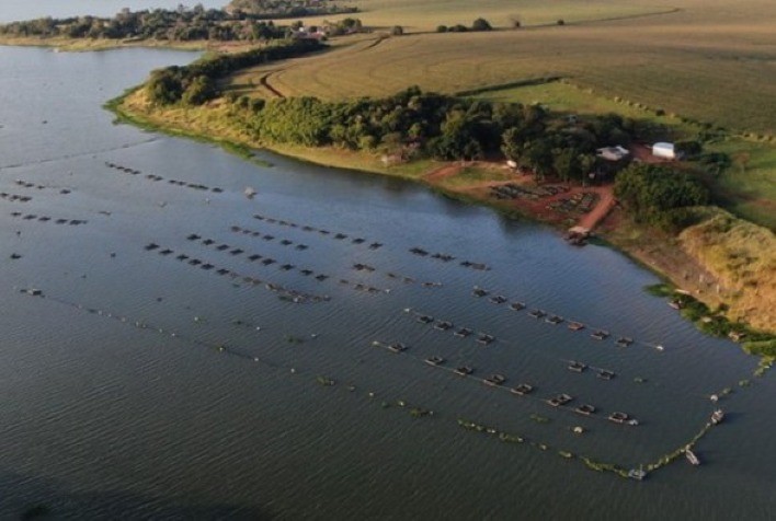 Cooperação entre MME e MPA impulsionará aquicultura em reservatórios de hidrelétricas