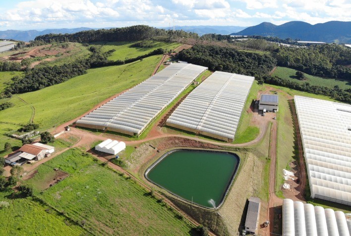 Prado Saúde e Nutrição Animal Expande Operações com Nova Aliança Estratégica