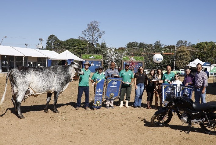 Vacas Girolando estabelecem novos recordes no Torneio Leiteiro da Megaleite 2024