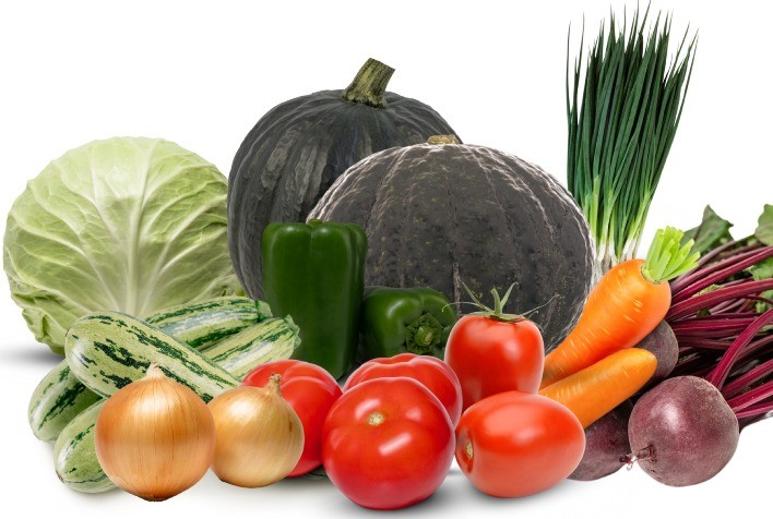 Sakata lança variedades de hortaliças inovadoras para impulsionar rentabilidade e sustentabilidade no campo