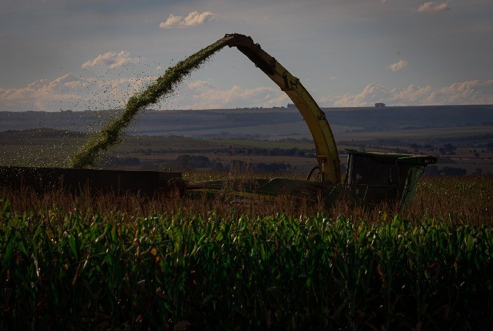 Agrural: Mais rápida da história, colheita da safrinha de milho chega a 21% no Centro-Sul
