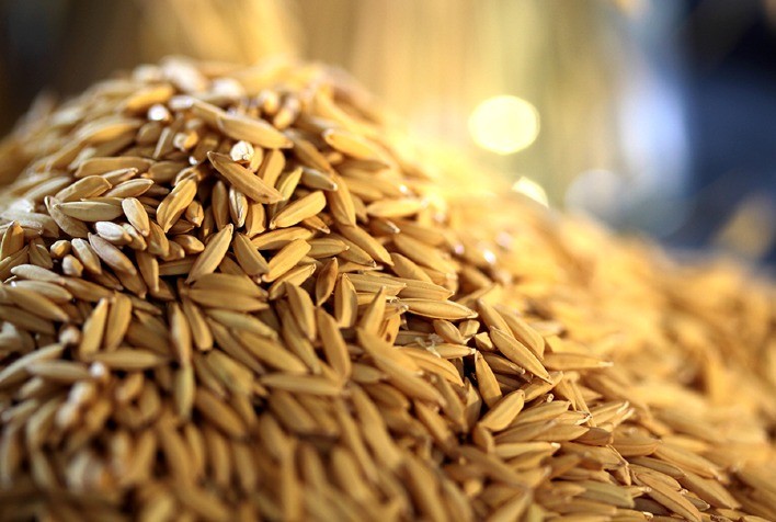 Enchentes no RS e Medida Provisória Redefinem Mercado de Arroz no Brasil