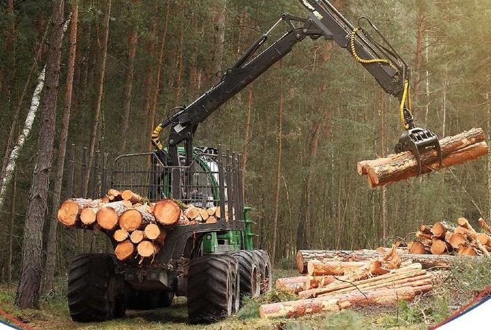 Titan Pneus Inova no Mercado Florestal Brasileiro com Tecnologias Avançadas