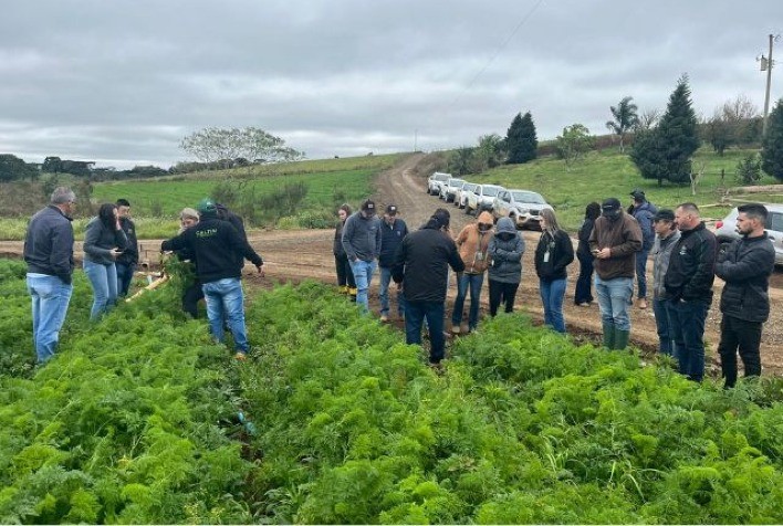 Workshop em Curitibanos Impulsiona Produção de Cenoura na Região