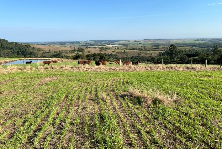 Atraso nas pastagens de inverno exige medidas que evitem perda de peso do gado