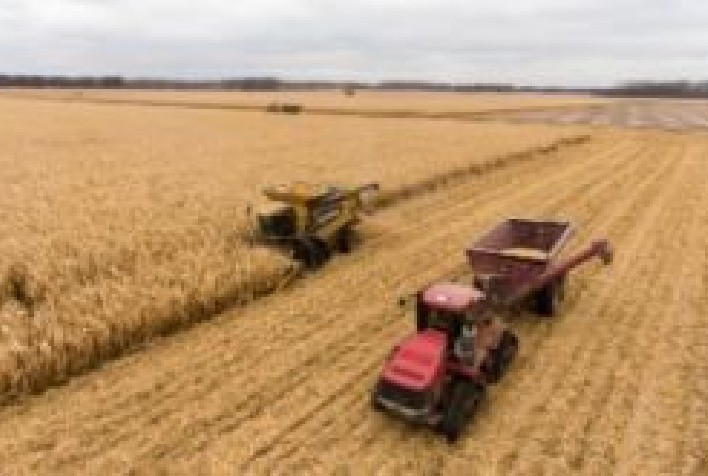 Tecnologia e Sustentabilidade no Agronegócio: Tendências para 2024