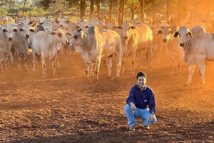 Confinamento Reduz Emissões de Carbono com Tecnologia Inovadora